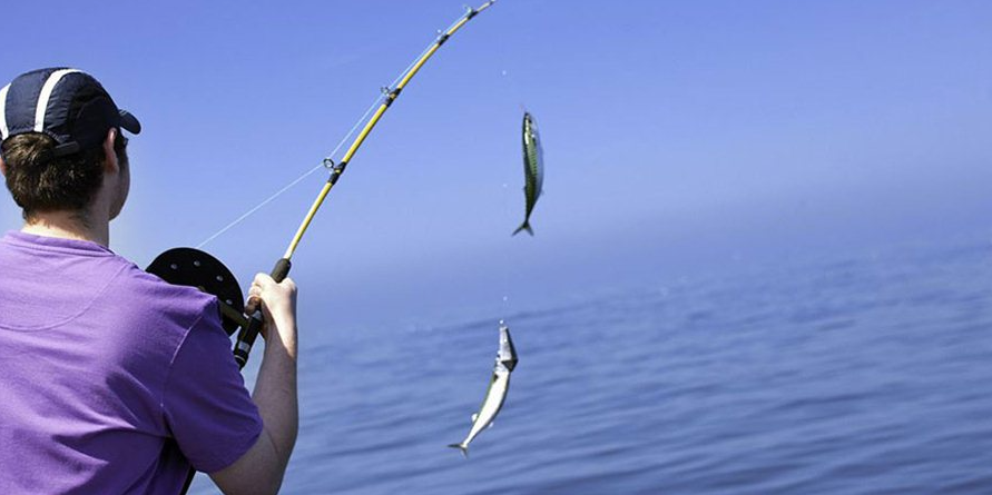 En Kaliteli Olta Takımları