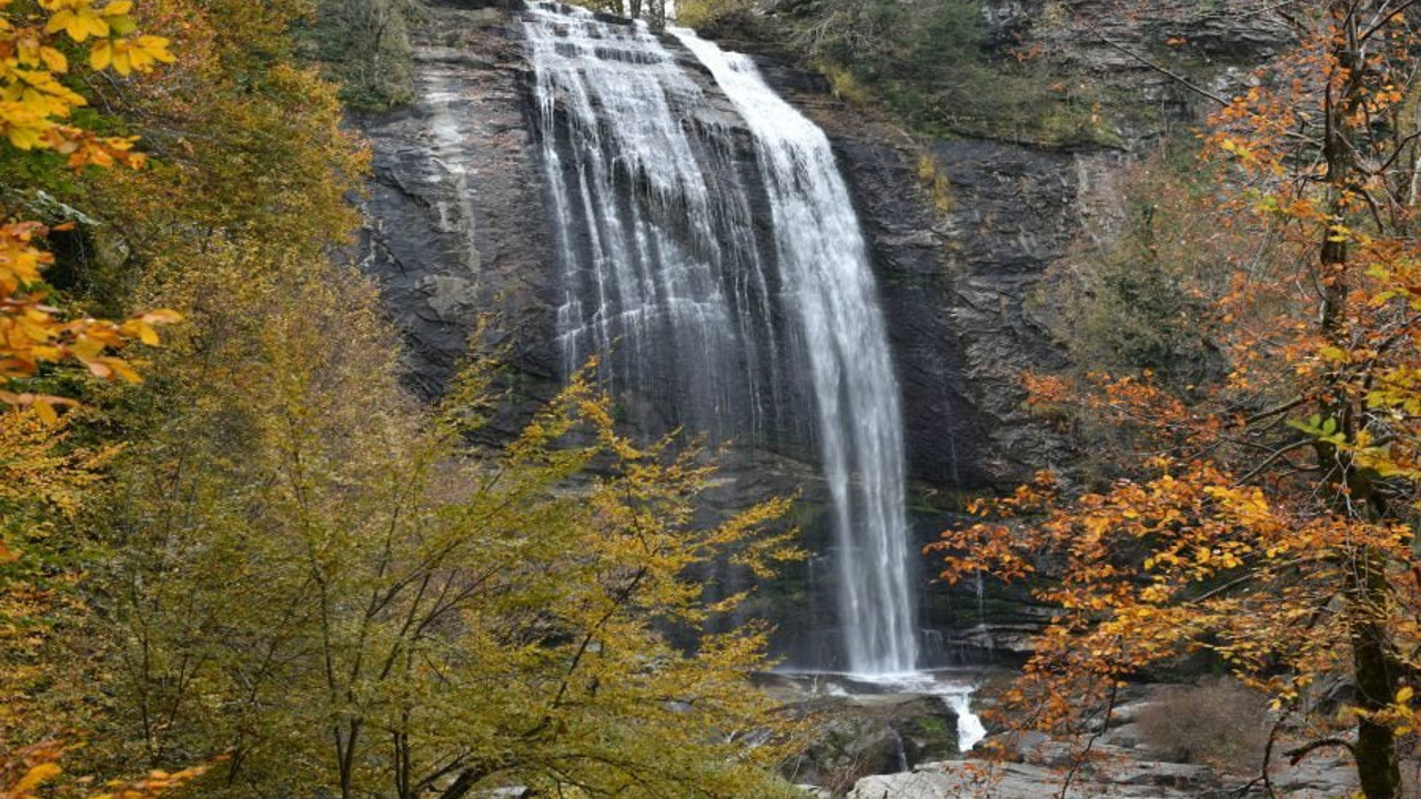 Mustafakemalpaşa’nın Güncel ve Doğru Haber Kaynağı: PAŞA HABER