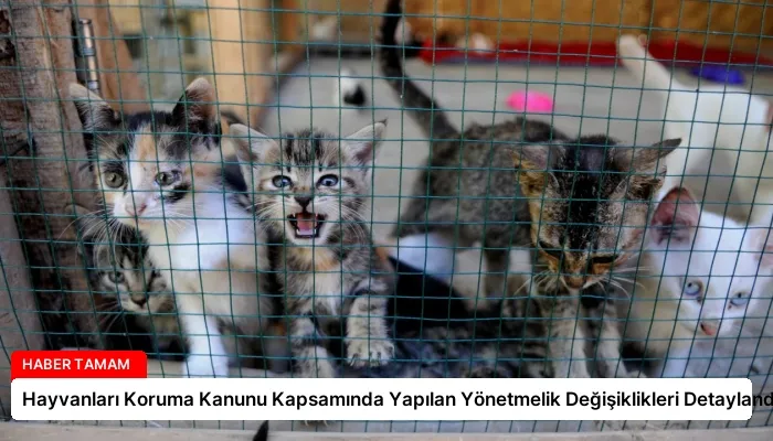 Hayvanları Koruma Kanunu Kapsamında Yapılan Yönetmelik Değişiklikleri Detaylandı