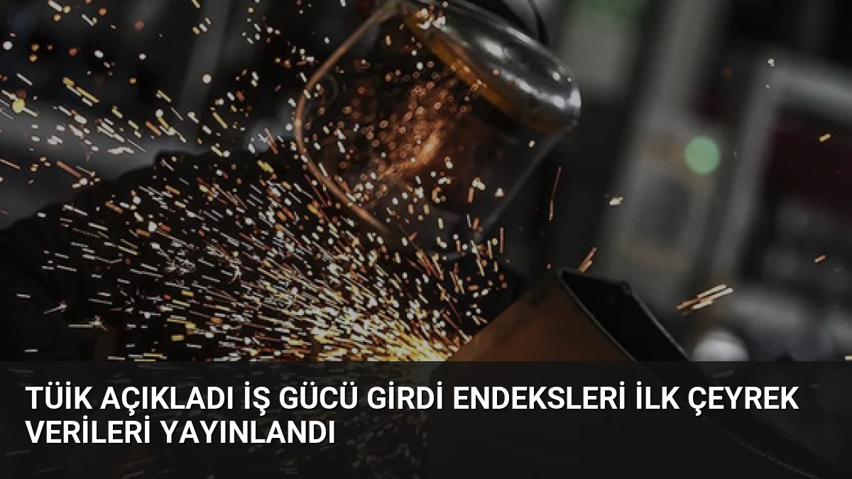 TÜİK Açıkladı İş Gücü Girdi Endeksleri İlk Çeyrek Verileri Yayınlandı