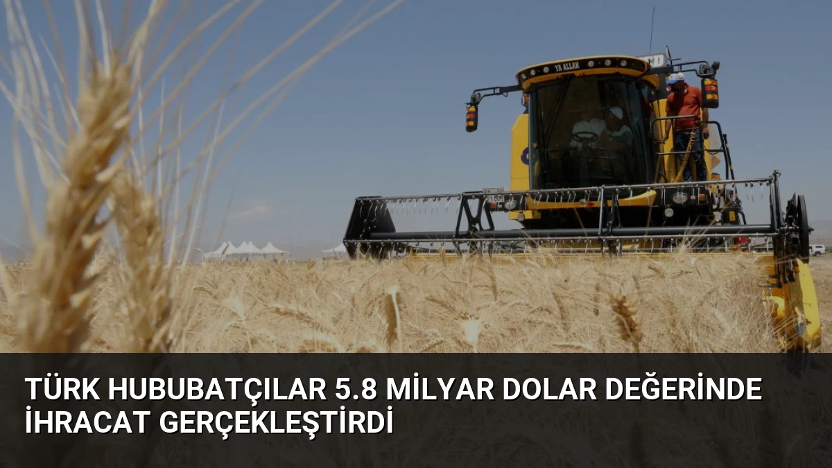Türk Hububatçılar 5.8 Milyar Dolar Değerinde İhracat Gerçekleştirdi