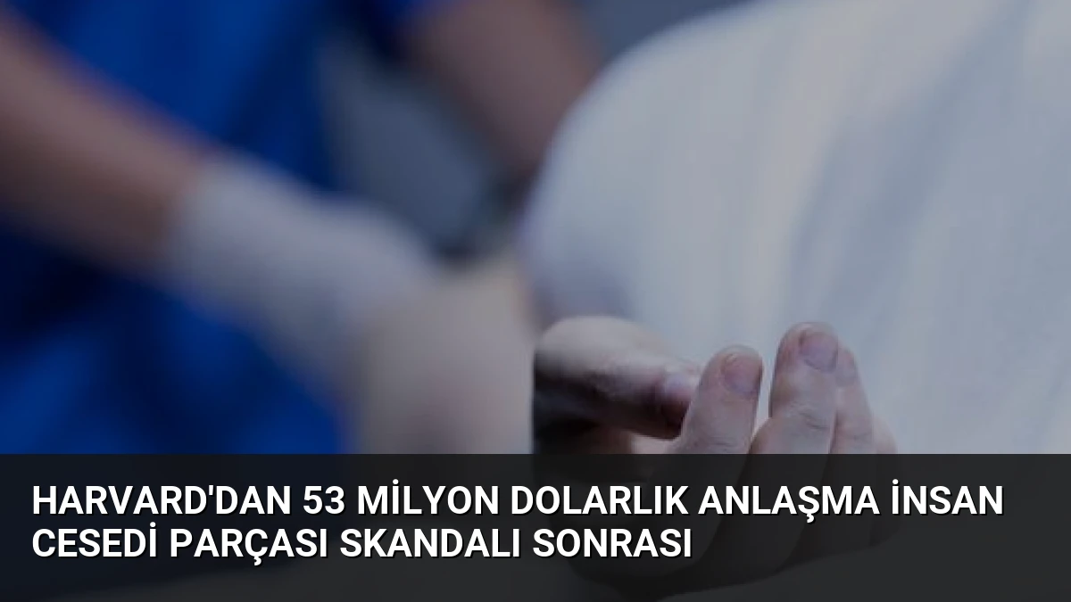 Harvard’dan 53 Milyon Dolarlık Anlaşma İnsan Cesedi Parçası Skandalı Sonrası