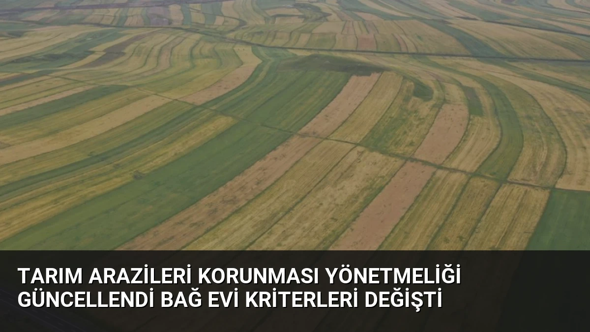 Tarım Arazileri Korunması Yönetmeliği Güncellendi Bağ Evi Kriterleri Değişti