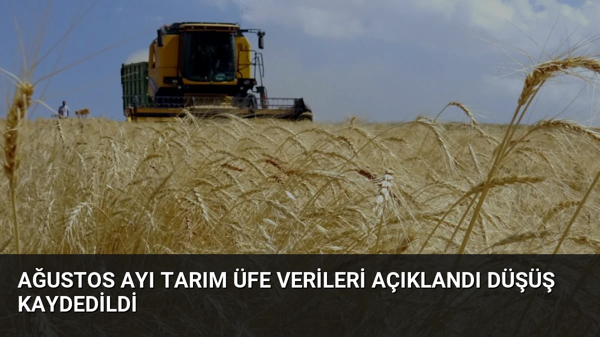 Ağustos Ayı Tarım ÜFE Verileri Açıklandı Düşüş Kaydedildi