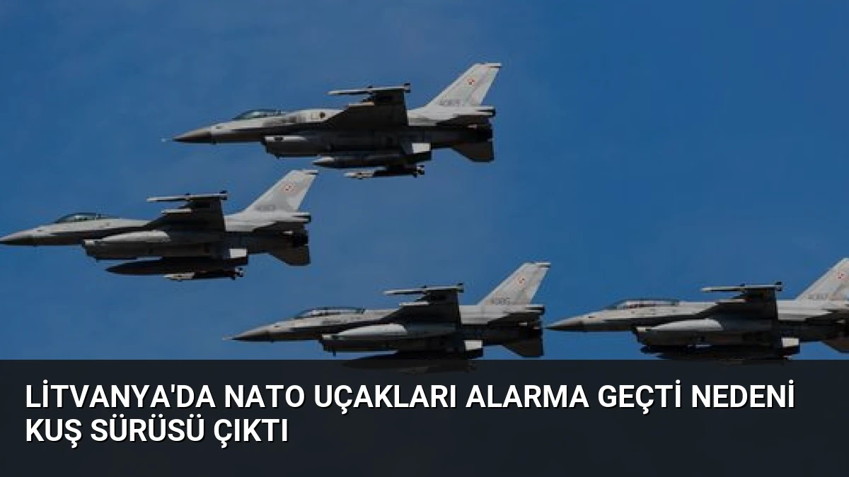 Litvanya’da NATO uçakları alarma geçti Nedeni kuş sürüsü çıktı
