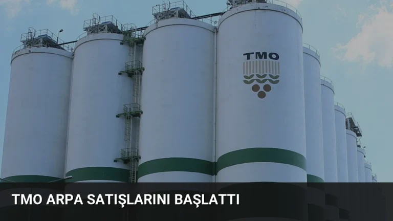 TMO Arpa Satışlarını Başlattı