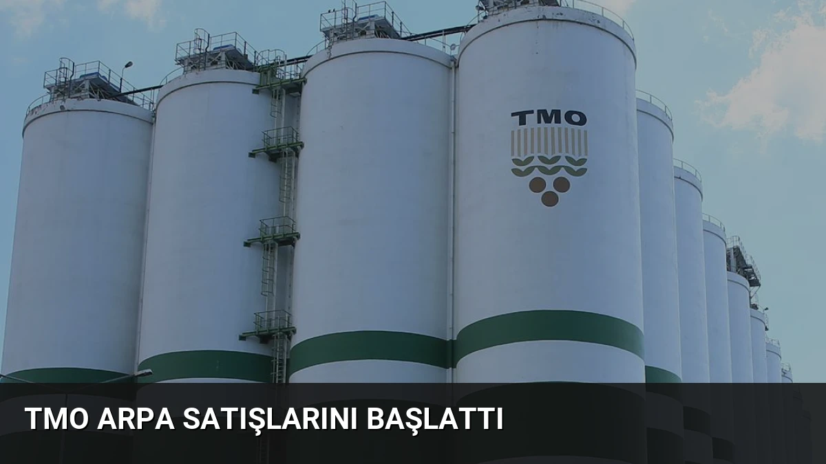 TMO Arpa Satışlarını Başlattı