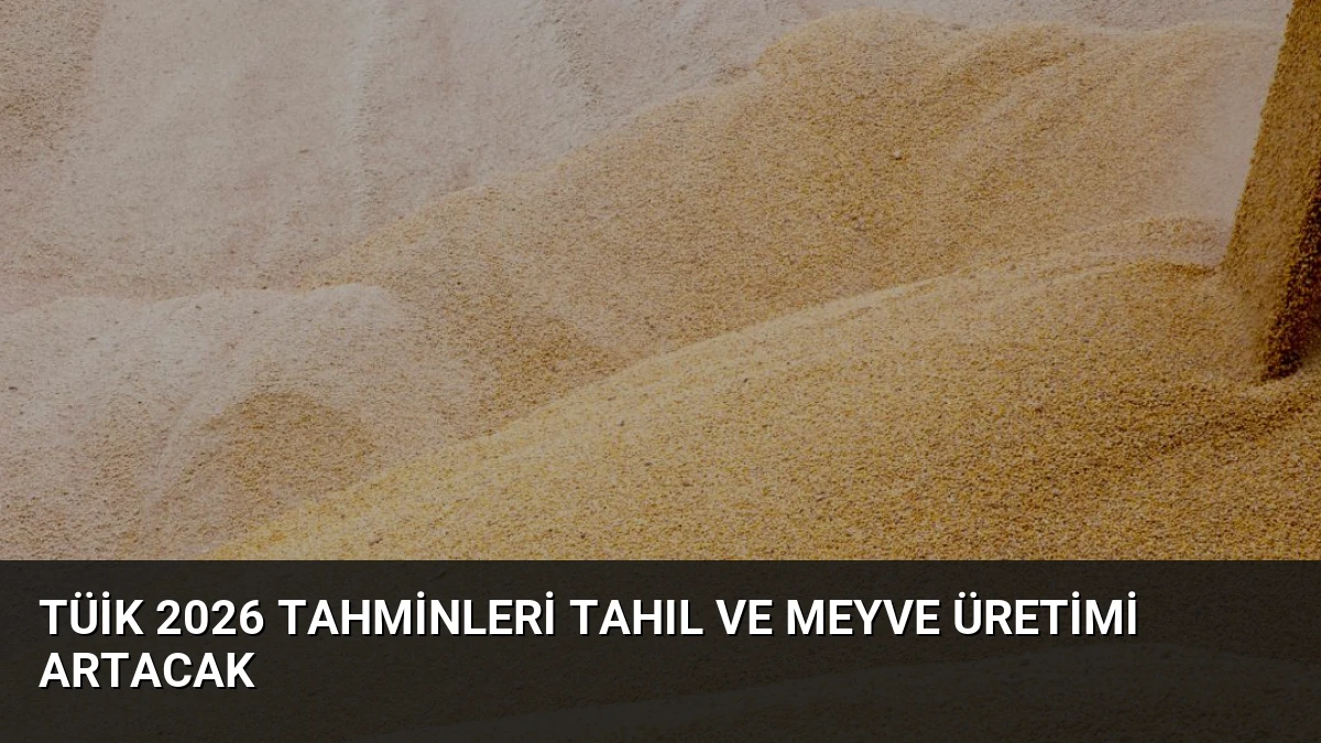 TÜİK 2026 Tahminleri Tahıl ve Meyve Üretimi Artacak