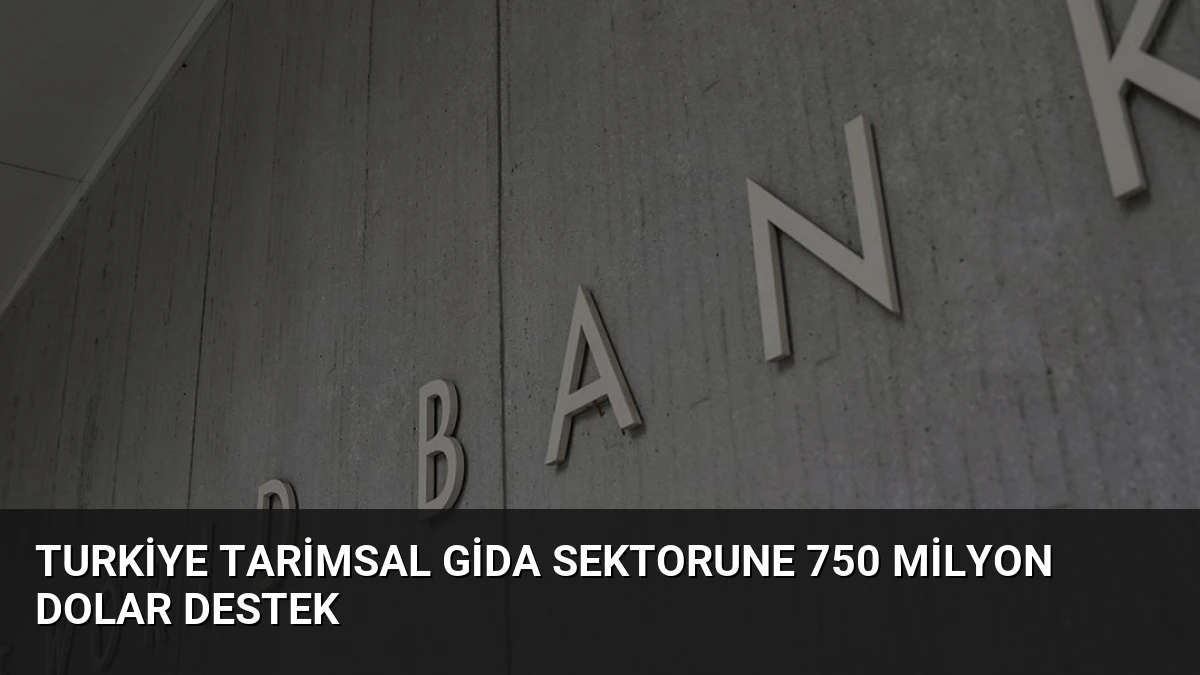 Turkiye Tarimsal Gida Sektorune 750 Milyon Dolar Destek